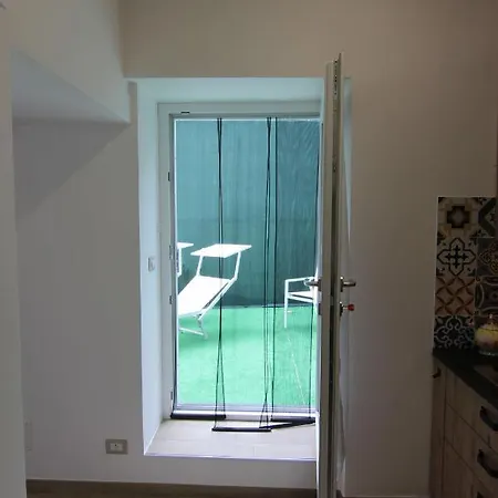 Four White * 아제롤라