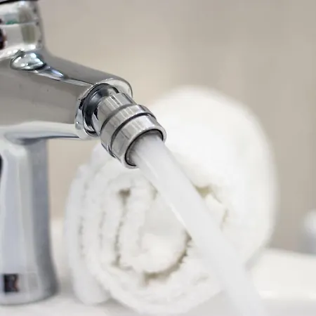 Four White 아제롤라